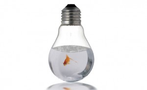 Creative uses for old incandescent light bulbs