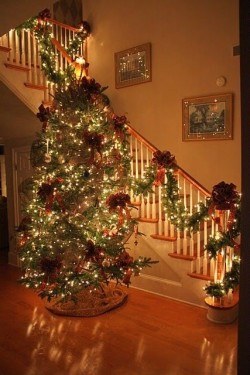 Perfect Christmas Lighting